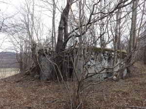 Ministerstvo obrany nabízí k prodeji tři bunkry u Adolfovic v Jeseníkách. Za pár tisíc