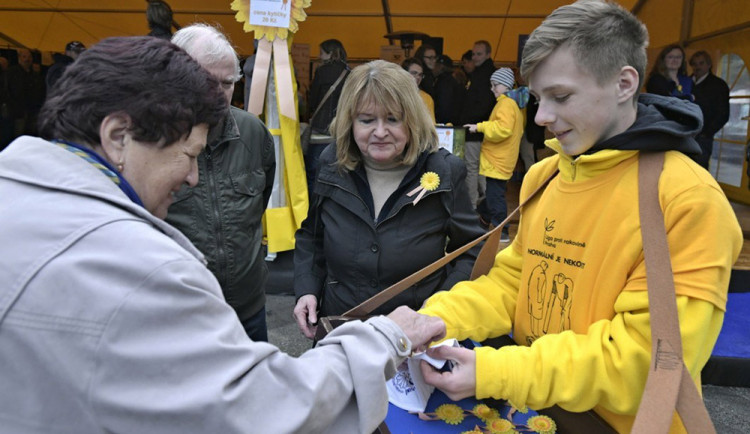 Český den proti rakovině a prodej žlutých kytiček - ilustrační foto