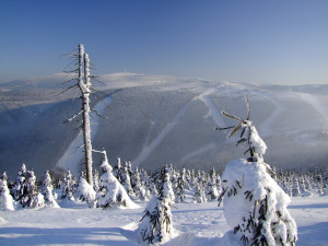 Na Červenohorském sedle staví novou lanovku, otevřít by se měla na sezonu