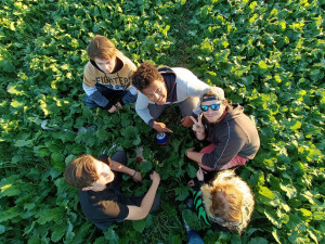 Studenti z Jeseníku vypustili sondu k hranicích vesmíru. Za pár hodin ji našli o sto kilometrů dál