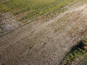 Studenti z Jeseníku vypustili sondu k hranicích vesmíru. Za pár hodin ji našli o sto kilometrů dál
