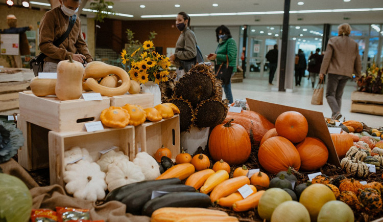 Hlavní expozice podzimní etapy výstavy Flora Olomouc bude říší ovoce a zeleniny