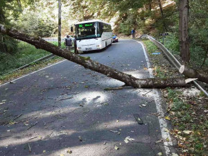 Zejména popadané stromy způsobují na řadě míst v regionu komplikace.