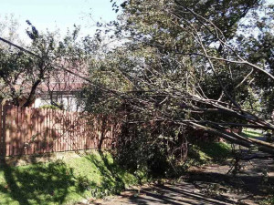 Zejména popadané stromy způsobují na řadě míst v regionu komplikace.