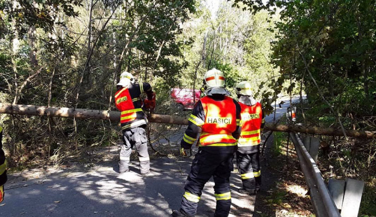 Zejména popadané stromy způsobují na řadě míst v regionu komplikace.