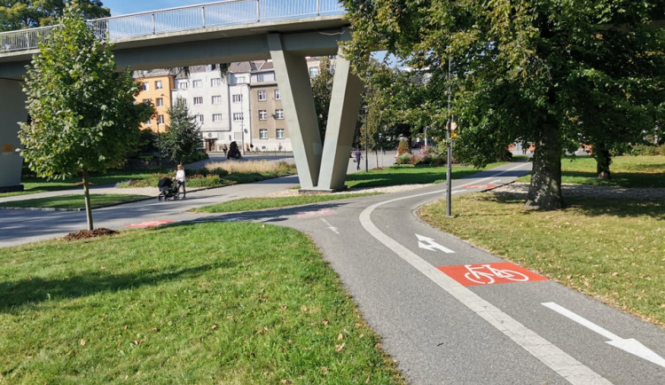 244468386_586798539028219_1362214886841183717_n