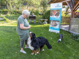 Jana Dohnalová ze Šternberku se věnuje canisterapii a felinoterapii. Za klienty jezdí s fenkami peruánského naháče, bernského salašnického psa a s kocourem Jonášem