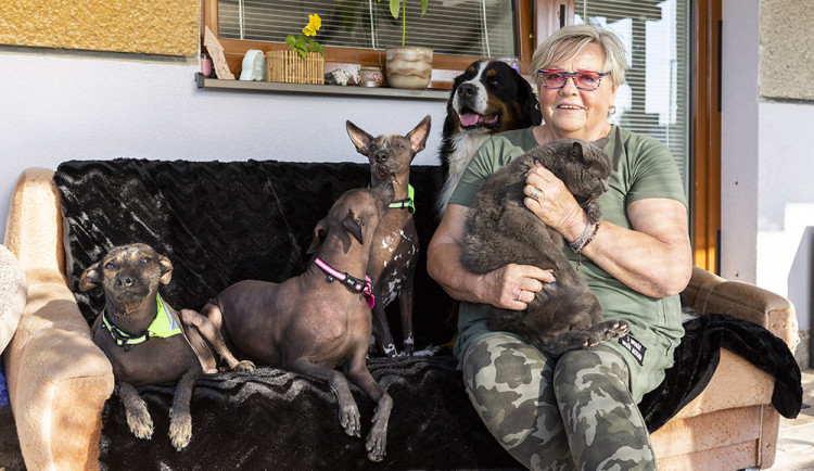 Jana Dohnalová ze Šternberku se věnuje canisterapii a felinoterapii. Za klienty jezdí s fenkami peruánského naháče, bernského salašnického psa a s kocourem Jonášem