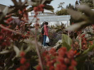 Snímek z minulého ročníku výstavy Flora Olomouc - ilustrační foto