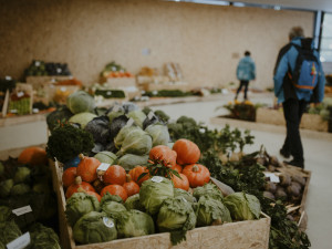 Snímek z minulého ročníku výstavy Flora Olomouc - ilustrační foto