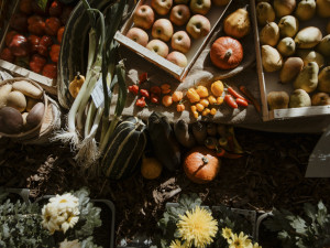 Snímek z minulého ročníku výstavy Flora Olomouc - ilustrační foto
