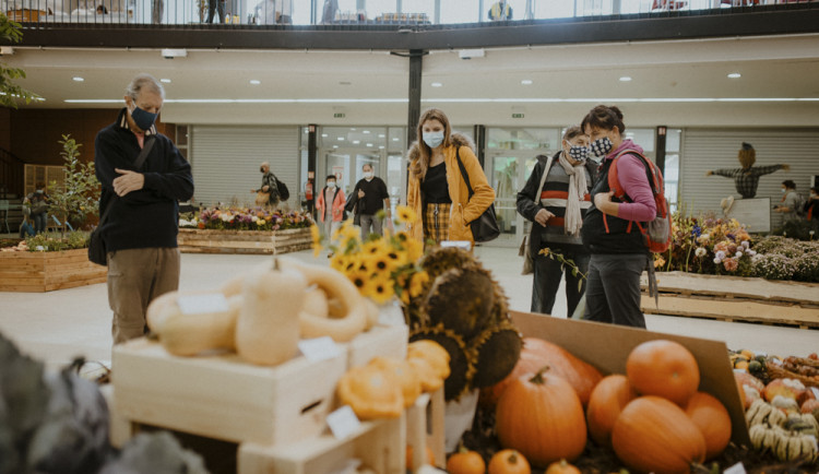 Snímek z minulého ročníku výstavy Flora Olomouc - ilustrační foto