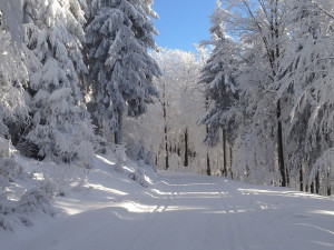 Díky práci u Policie získal obecní byt ve Zlatých Horách na Jesenicku. Mám výbornou a stabilní práci v krásném prostředí hor, říká mladý policista Radek Hlavsa
