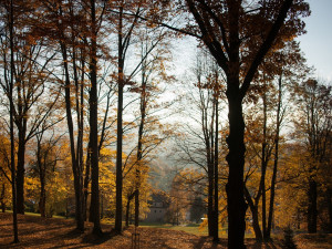Díky práci u Policie získal obecní byt ve Zlatých Horách na Jesenicku. Mám výbornou a stabilní práci v krásném prostředí hor, říká mladý policista Radek Hlavsa