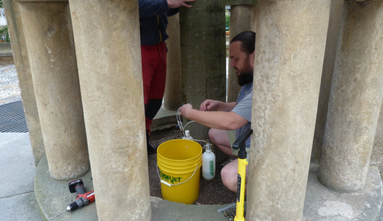 246440348_3002168610021535_8130412666869221498_n