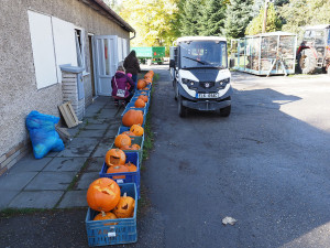 Strašidelná Zoo Olomouc