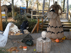 Strašidelná Zoo Olomouc