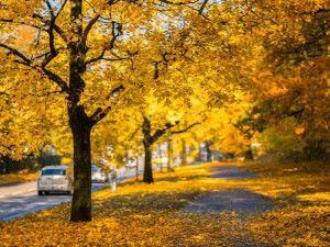 Podzim může na silnicích překvapit. Teploty rychle spadnou, tvrdí odborníci
