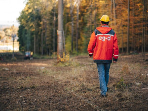 EG.D zavádí řízenou výsadbu rostlin kolem vedení. Má minimalizovat kácení kvůli dodržení ochranného pásma
