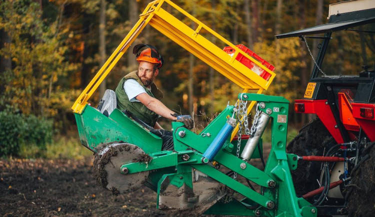 size4-16352357888159-139-egd-zavadi-rizenou-vysadbu-rostlin-kolem-vedeni-ma-minimalizovat-kaceni-kvuli-dodrzeni-ochranneho-pa