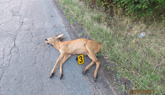 635x285-1501229800-zdroj-pcr