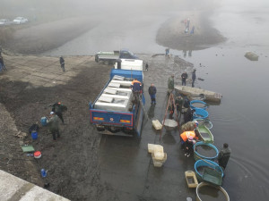 FOTOGALERIE: Rybáři se pustili do výlovu Podhradského rybníka