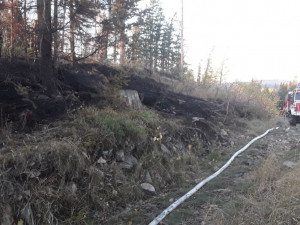 Boj s lesním požárem na Jesenicku komplikuje vítr i terén. Pomáhali i hasiči z Polska