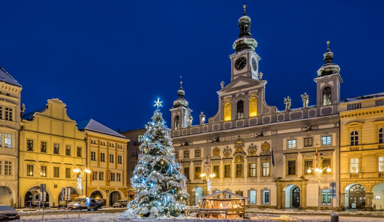 Na budějovickém náměstí bude stát od poloviny listopadu stoletý smrk