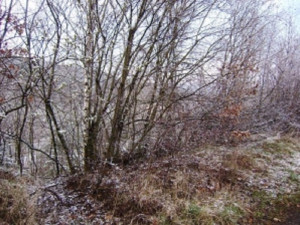 Zájemci si mohou koupit bunkr u Starého Města nebo malý pozemek na Olomoucku