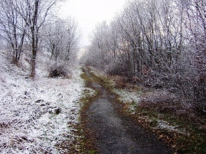Zájemci si mohou koupit bunkr u Starého Města nebo malý pozemek na Olomoucku