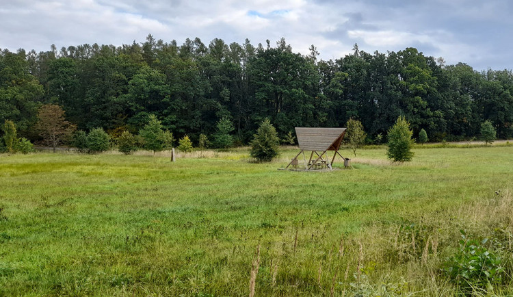 Stromy ze všech koutů světa. U Prostějova vznikne nové arboretum