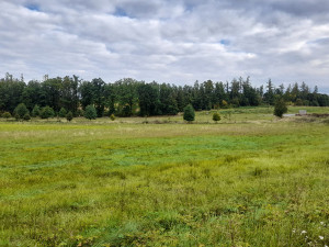 Nové arboretum Osina bude určené lesníkům, studentům i návštěvníkům z řad veřejnosti