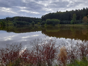 Nové arboretum Osina bude určené lesníkům, studentům i návštěvníkům z řad veřejnosti
