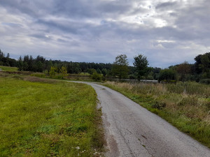 Nové arboretum Osina bude určené lesníkům, studentům i návštěvníkům z řad veřejnosti