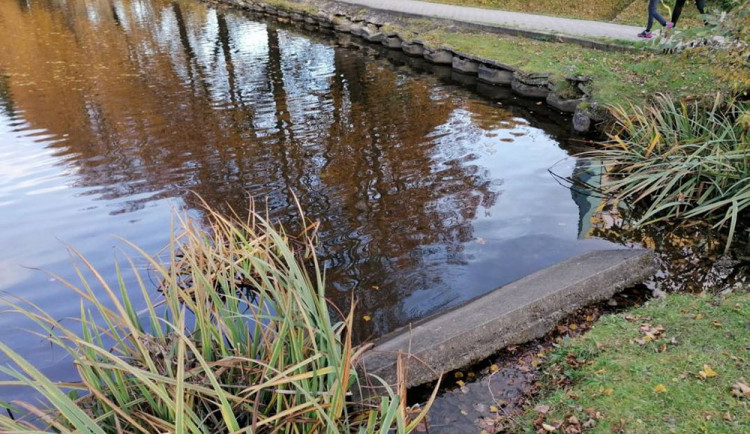 Rybníček v Jeseníku vyžaduje opravu. Půl milionu z participativního rozpočtu nestačí