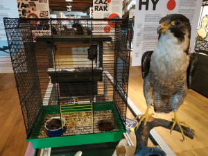 Výstava v Pevnosti poznání je oslavou létání a sedmdesátileté tradice letecké výroby v Hlubočkách