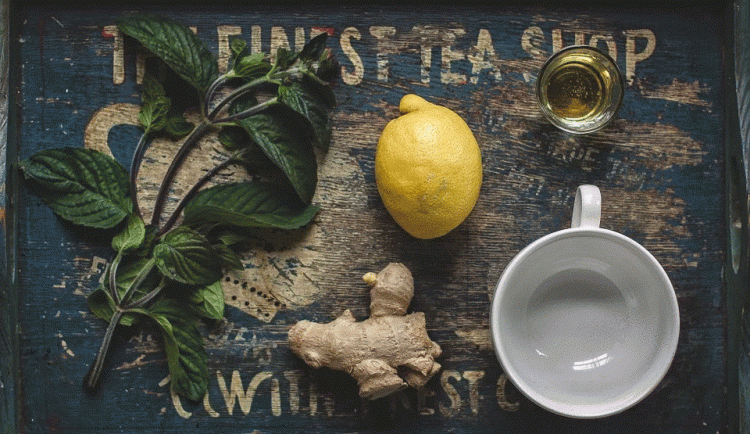 size3-1636034634969-2-jak-na-posileni-imunity-prirodni-cestou-vsadte-na-jablecny-ocet-fermentovane-potraviny-nebo-zazvor