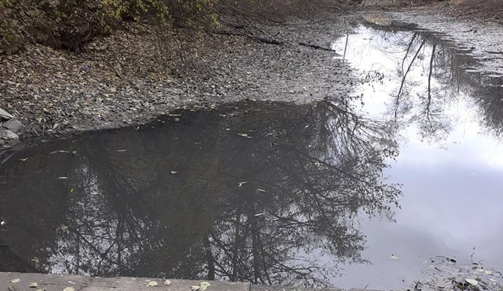 Zloději u Čekyně vypustili rybník a ukradli vzácné generační hejno línů