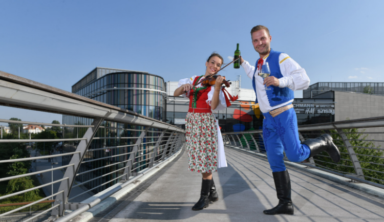 Vinařský festival, cimbálová hudba, svěcení charitativního vína a tradiční husa se zelím. Na Šantovce tento týden začínají svatomartinské hody