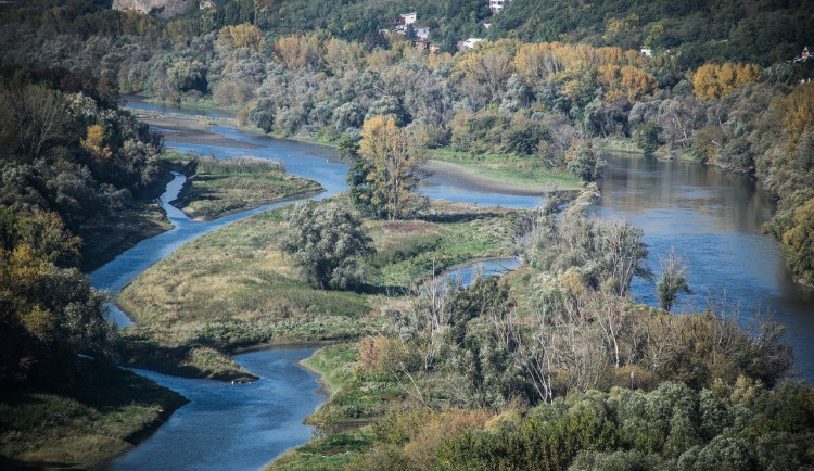 size3-16370774810481-60-prutoky-v-rekach-v-povodi-moravy-jsou-pod-normalem