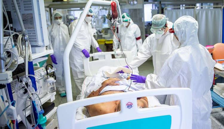 size3-16349186670092-231-testy-za-tyden-odhalily-v-plzenskem-kraji-vice-nez-tisicovku-nakazenych