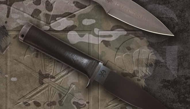 254510017_1655911344610973_2589097353010984705_n