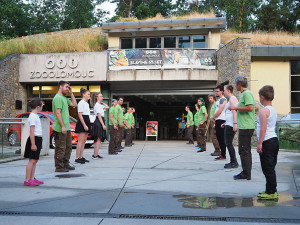 Zaměstnanci Zoo Olomouc natrénovali choreografii na chytlavou píseň Jerusalema