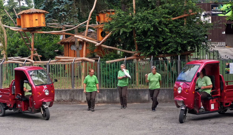 Zaměstnanci Zoo Olomouc natrénovali choreografii na chytlavou píseň Jerusalema