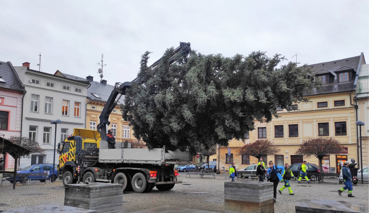 Symbol Vánoc i uctění památky. Šternberské náměstí okrášlí mimořádný strom