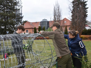 Hranice v neděli před zámkem rozsvítí obří adventní věnec