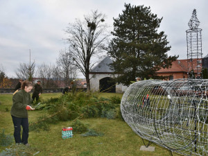 Hranice v neděli před zámkem rozsvítí obří adventní věnec