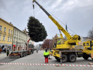 V Prostějově budí pozornost křivý vánoční strom. Je to jen z jedné strany, brání se město