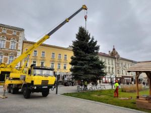 V Prostějově budí pozornost křivý vánoční strom. Je to jen z jedné strany, brání se město