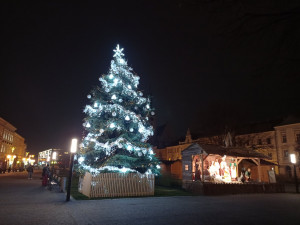 V Prostějově budí pozornost křivý vánoční strom. Radnice to bere s nadhledem
